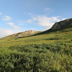 Glenbow Ranch near Cochrane