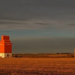 The grain elevator in Olds