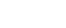 Handheld Laser Institute