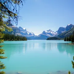 A lake surrounded by forest and mountains near Jasper